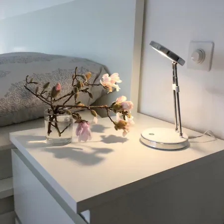 Casa Micheroli Parterre Apartment Gordola